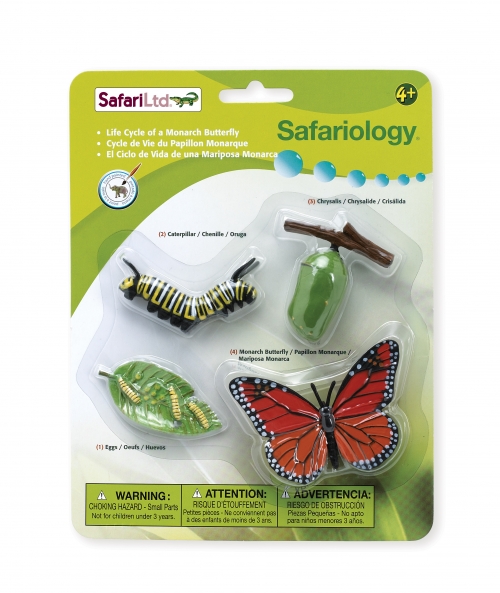 Safari Ltd Life Cycle of a Monarch Butterfly